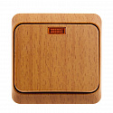 Systeme Electric: BA10-005T