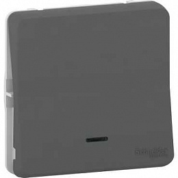 Переключатель с подсветкой, механизм IP55 (антрацит) Mureva Styl Schneider Electric. Вид 1