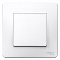 Systeme Electric: BLNVS010101
