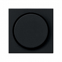 GIRA: G0650005