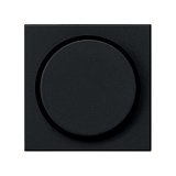 GIRA: G0650005