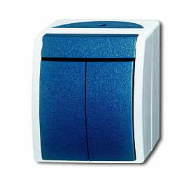 2601/5 W-53-500 Выключатель 2-клавишный, для открытого монтажа, IP44, серия ocean, цвет серый/сине-зелёный ABB. Вид 1
