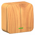 Systeme Electric: BLNVA105115