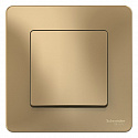 Systeme Electric: BLNVS010104