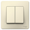 Systeme Electric: BLNVS006502