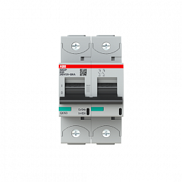 S802P K80 Автоматический выключатель 2-полюсный, 80A, 50kA (хар-ка K) ABB. Вид 1