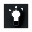 GIRA: G0664005
