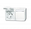 20/2 EWN-54 Розетка SCHUKO 16А 250В IP44, двойная, горизонтальная, с полем для надписи, для открытого монтажа, серия ocean, цвет альпийский белы ABB. Вид 1.