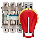Корпус выключателя-разъединителя 3P, 50А (14X52) Schneider Electric