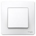 Systeme Electric: BLNVS006101