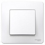 Systeme Electric: BLNVS006101