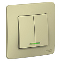 Systeme Electric: BLNVS010517