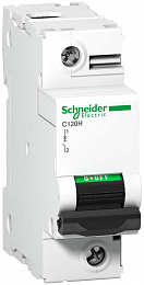 C120H 1P 125A Автоматический выключатель 1-полюсный 125А 15кА (хар-ка C) Schneider Electric. Вид 1