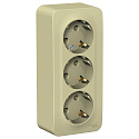 Systeme Electric: BLNRA010317