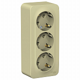 Systeme Electric: BLNRA010317