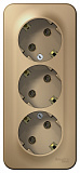 Systeme Electric: BLNRA010314