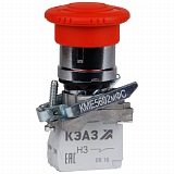 КЭАЗ: 248264