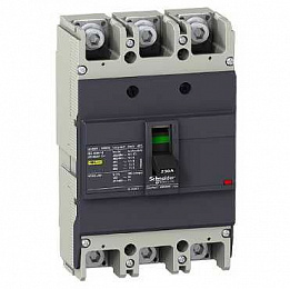 Термо-магнит. 3х-полюс. автомат 225А 18kA, подключ. под шину Schneider Electric. Вид 1