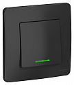 Systeme Electric: BLNVS010616