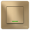 Systeme Electric: BLNVS010114