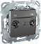 Розетка TV/FM, одиночная (графит) Unica Top Schneider Electric. Вид 1.