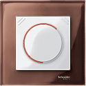 Schneider Electric: MTN567819