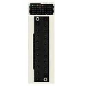 Schneider Electric: BMXDDM16022HRU