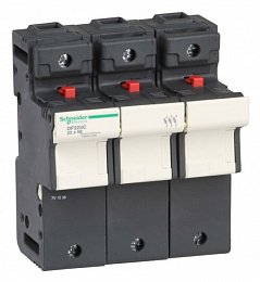Держатель предохранителей 22Х58 3-полюсный 125А Schneider Electric. Вид 1