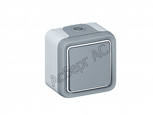 Переключатель одноклавишный (серый) IP55 Plexo Legrand. Вид 1