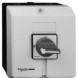 Главный аварийный выключатель-разъединитель закрытого исполнения на 32А Schneider Electric. Вид 1