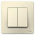 Systeme Electric: BLNVS106602