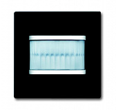 ABB: 2CKA006132A0381