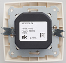 Schneider Electric: WDE000236
