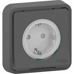 Розетка с з/к. и шт., скрытой установки IP55 (антрацит) Mureva Styl Schneider Electric. Вид 1