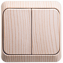 Systeme Electric: BA10-006D