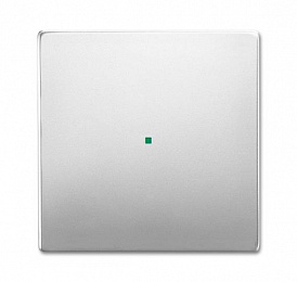 SR-1-866 Клавиша одинарная free@home, future, сталь ABB. Вид 1