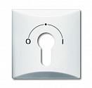 ABB: 2CKA001710A1837