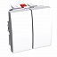 Переключатель 2x-клавишный 16a бел r9003 Schneider Electric. Вид 1.