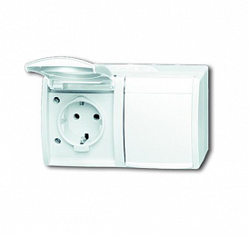 20/2 EW-54-500 Розетка SCHUKO 16А 250В IP44, двойная, горизонтальная, для открытого монтажа, серия ocean, цвет альпийский белый ABB. Вид 1