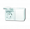 20/2 EW-54-500 Розетка SCHUKO 16А 250В IP44, двойная, горизонтальная, для открытого монтажа, серия ocean, цвет альпийский белый ABB. Вид 1.