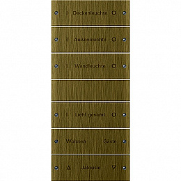 Набор клавиш 6 местный, надписи (бронза) System 55 Gira. Вид 1