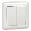 Выключатель 2-клавишный, 10АХ, в сборе (белый) Wessen 59 Systeme Electric. Вид 1.