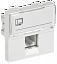 РКИ-20-00-П Розетка информационная RJ-45 UTP кат.5e (на 2 модуля) IEK. Вид 1.