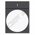 Schneider Electric: ZBY2101
