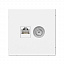 Розетка двойная TV + компьютерная RJ45, кат. 5Е (лотос) ARTGALLERY Systeme Electric. Вид 1.
