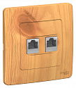Systeme Electric: BLNIS045115