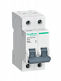 Systeme Electric: C9F36216