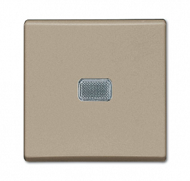 2006/1 UCGL-93-507 Выключатель 1-клавишный с подсветкой (шампань) Basic 55 ABB. Вид 1