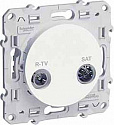 Schneider Electric: S52R454