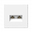 Розетка двойная компьютерная RJ45+RJ45, кат.6А, механизм (белый) ARTGALLERY Systeme Electric. Вид 1.